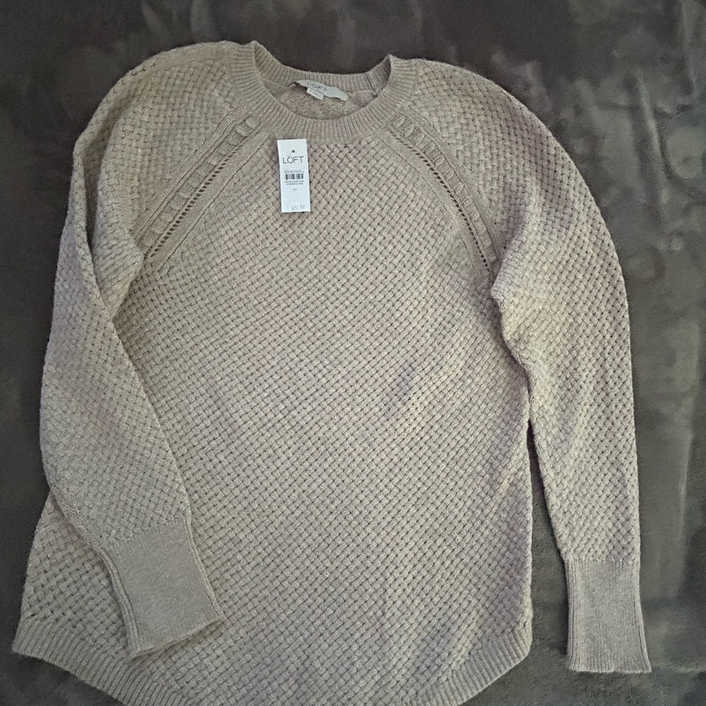 LOFT Women's Tan  Sweater